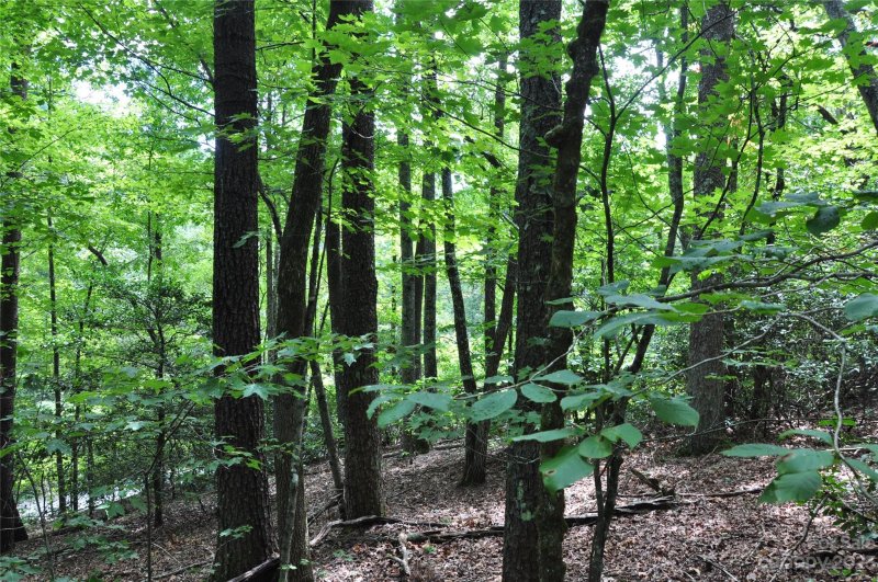 Property image 2 at 0 Country Way, Lake Lure, NC 28746