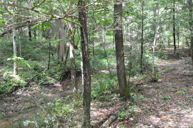 Property image 4 at 0 Country Way, Lake Lure, NC 28746