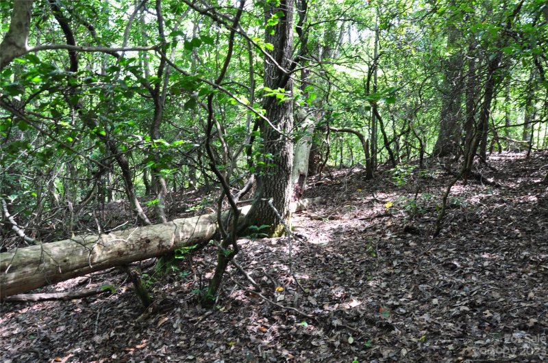 Property image 5 at 0 Country Way, Lake Lure, NC 28746