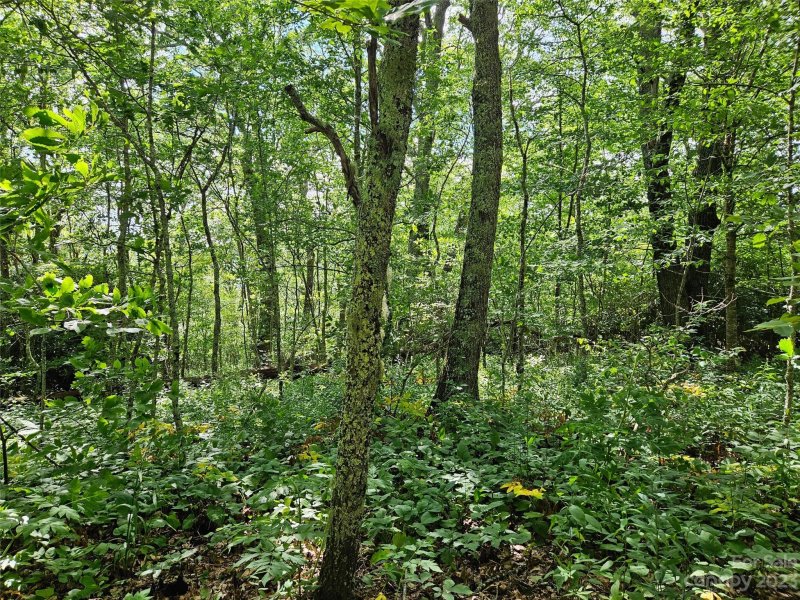Property image 5 at Lot 47 48 Eagles Nest Road, Waynesville, NC 28786