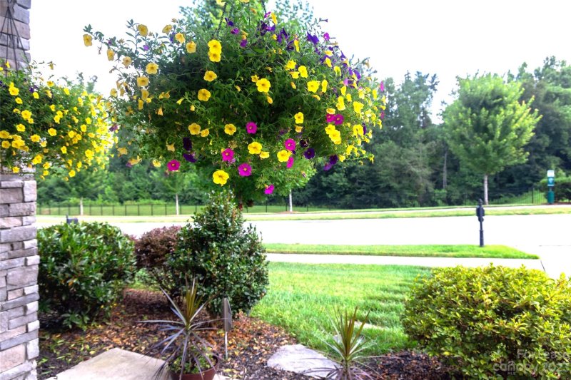 Property image 3 at 10129 Dublin Court, Concord, NC 28027