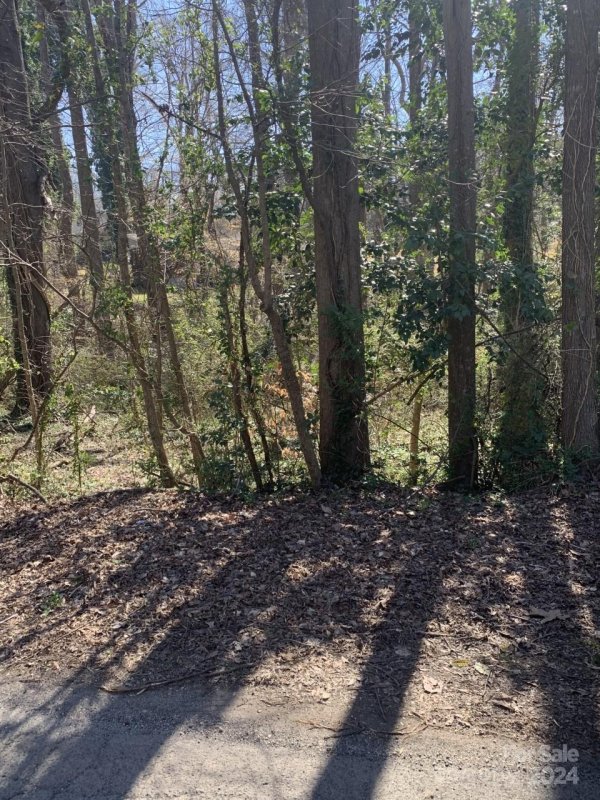 Property image 2 at 1062 Orchard Court, Fort Mill, SC 29715