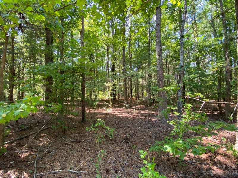 Property image 3 at 0 Waxhaw Creek Road, Waxhaw, NC 28173