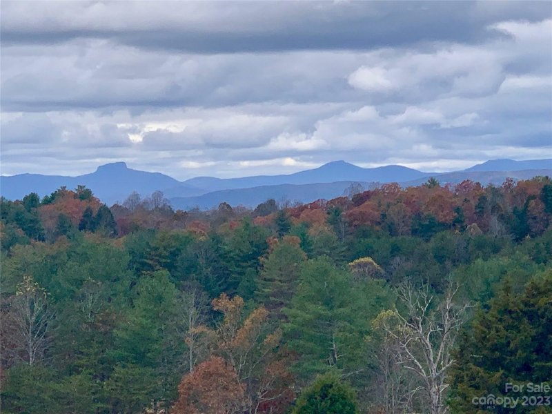 2 35 Acres Lot G49 2069 Hitching Post Trail