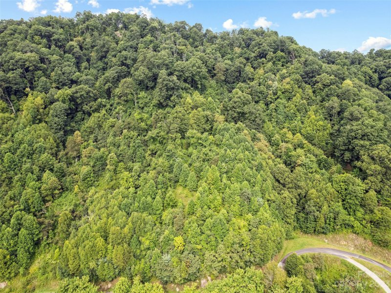Property image 3 at 00 Yonaguska Ridge, Clyde, NC 28721