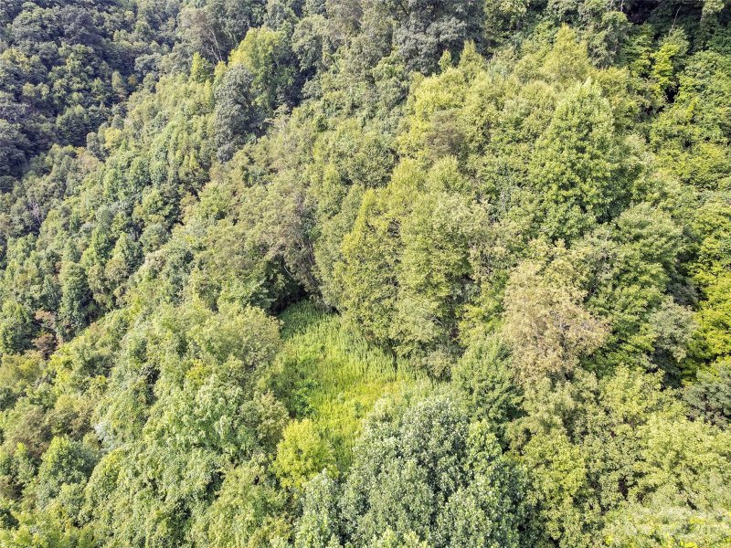 Property image 4 at 00 Yonaguska Ridge, Clyde, NC 28721