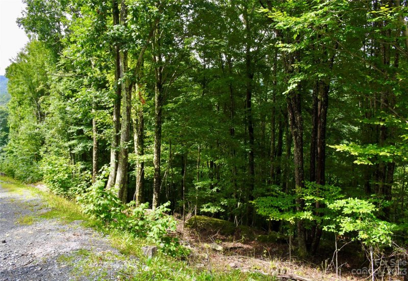 Property image 2 at 234 Wild Daisy Lane, Beech Mountain, NC 28604