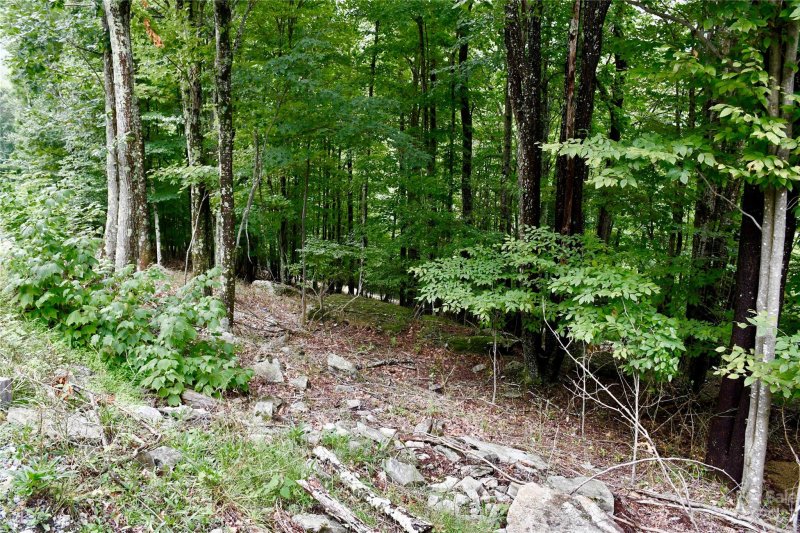 Property image 3 at 234 Wild Daisy Lane, Beech Mountain, NC 28604