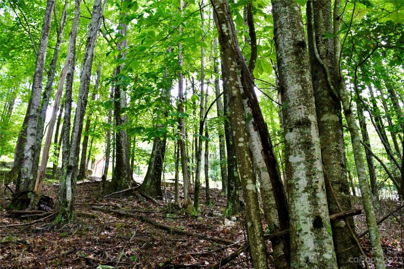 Property image 5 at 234 Wild Daisy Lane, Beech Mountain, NC 28604