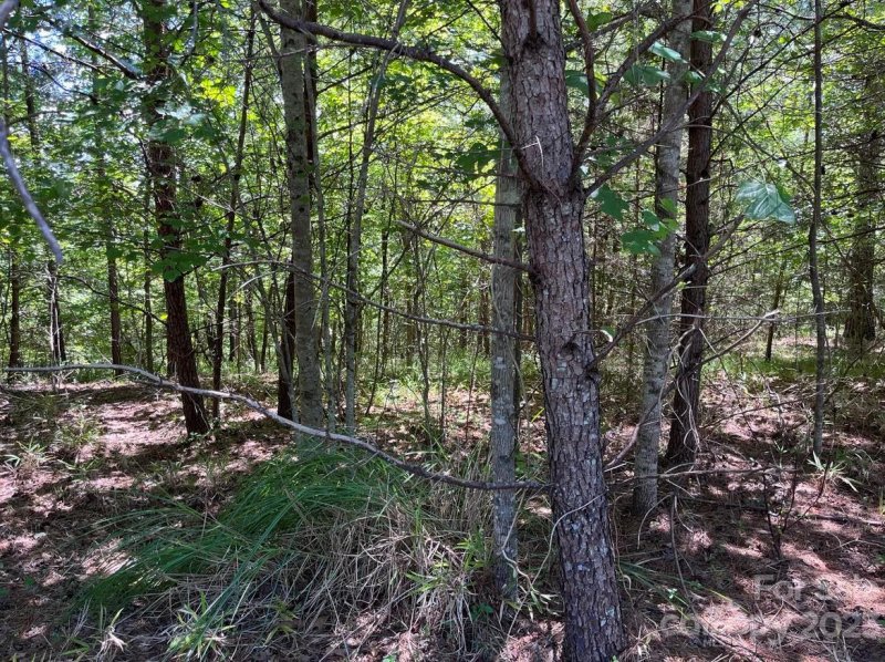 Property image 2 at 0 N Dakota Drive, Rutherfordton, NC 28139