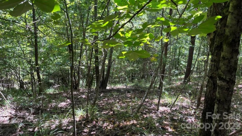 Property image 3 at 0 N Dakota Drive, Rutherfordton, NC 28139