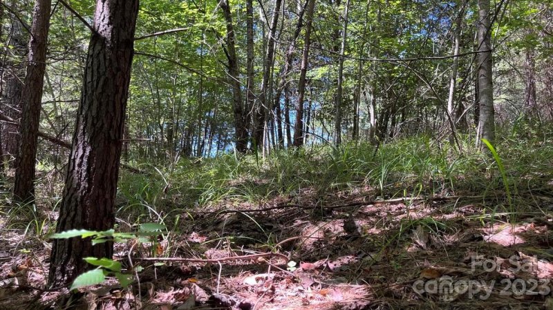 Property image 4 at 0 N Dakota Drive, Rutherfordton, NC 28139