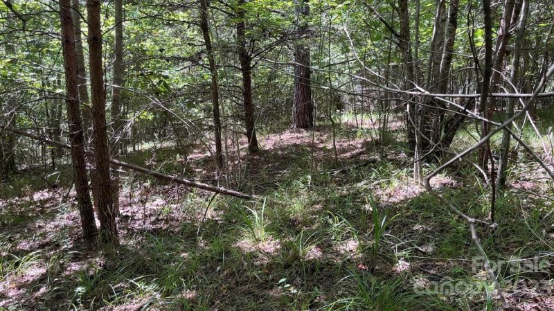 Property image 5 at 0 N Dakota Drive, Rutherfordton, NC 28139