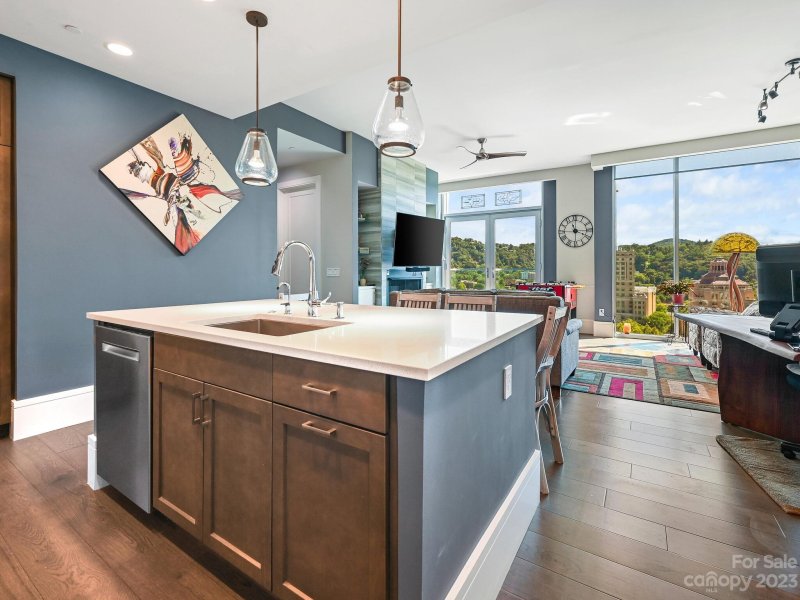 Property image 5 at 7 Patton Avenue, Asheville, NC 28801