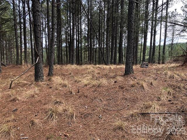 Property image 3 at 128 Table Rock Trace, Valdese, NC 28690