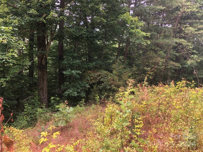 Property image 4 of 0 Crossings Drive in The Crossings at Sugar Hill, Marion, NC 28752