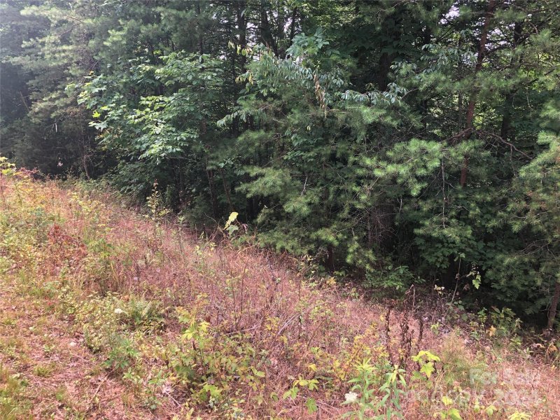 Property image 5 of 0 Crossings Drive in The Crossings at Sugar Hill, Marion, NC 28752