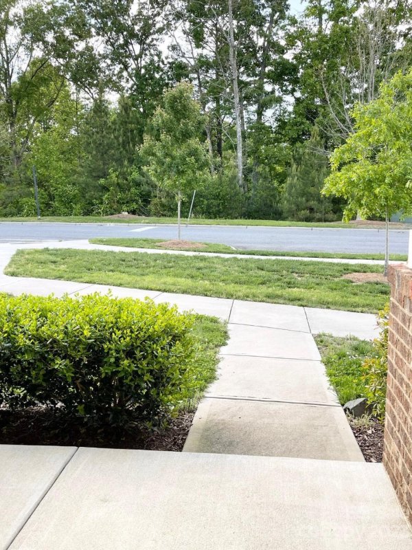 Property image 4 at 12511 Stonebriar Ridge Drive, Davidson, NC 28036