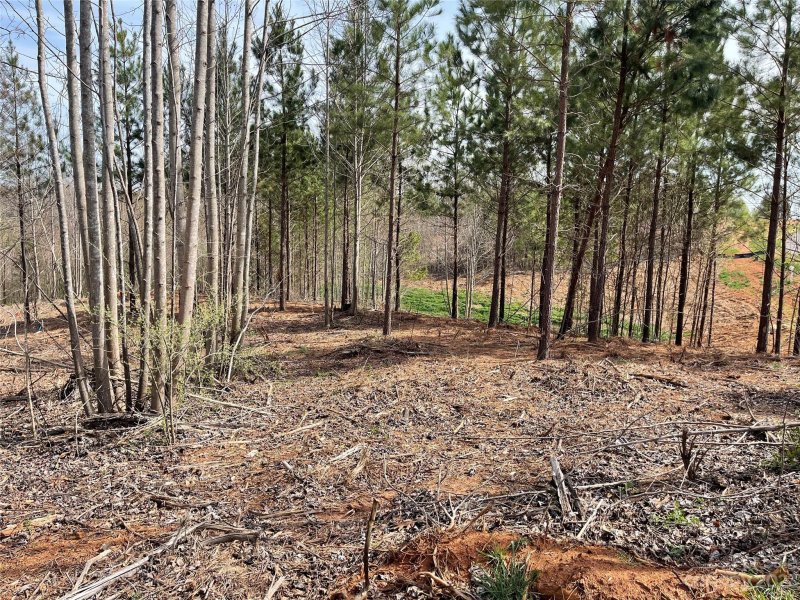 Property image 4 at 126 Wilharr Court, Mooresville, NC 28115