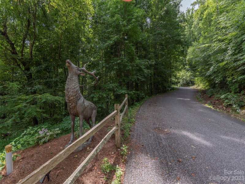 Property image 3 at Lot 26 Gypsy Lane, Maggie Valley, NC 28751