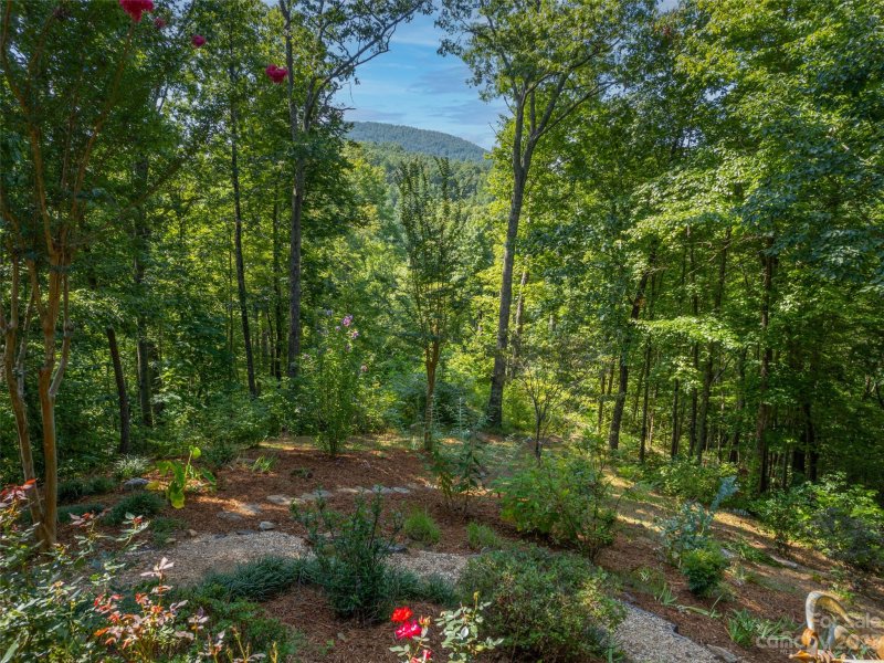 Property image 5 at 183 Woodhaven Drive, Saluda, NC 28773