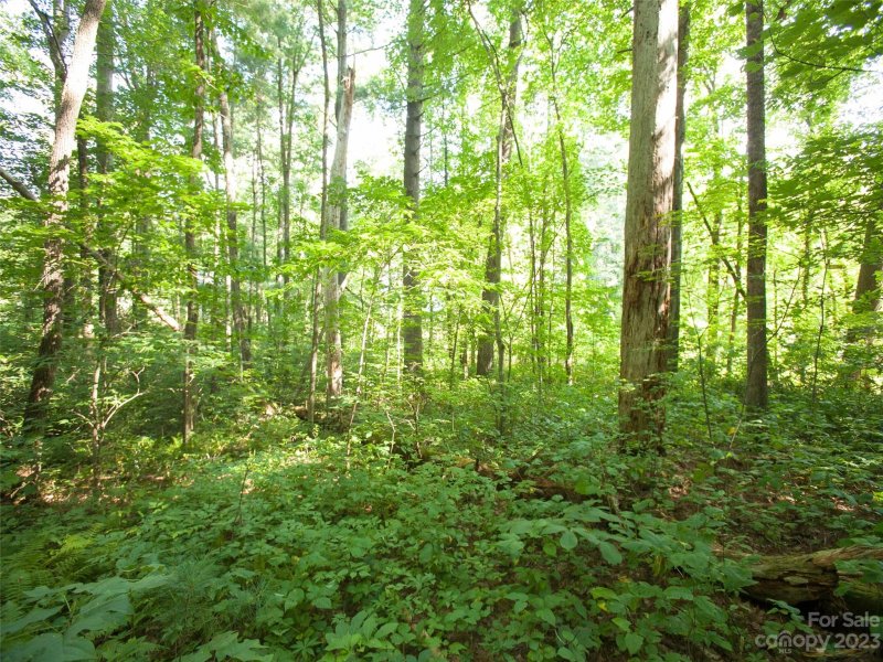 Property image 4 at 000 Weston Road, Arden, NC 28704