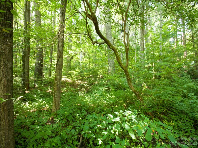 Property image 5 at 000 Weston Road, Arden, NC 28704