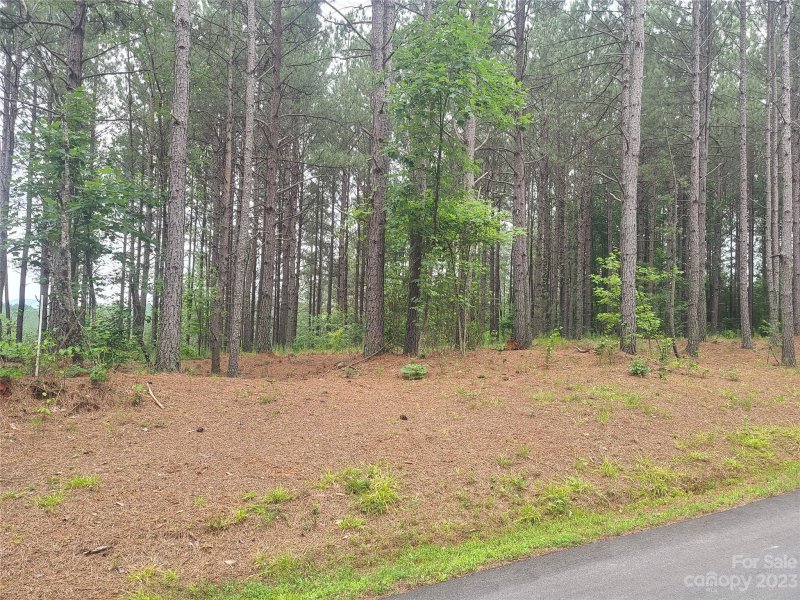 Property image 2 at 122 Table Rock Trace, Valdese, NC 28690