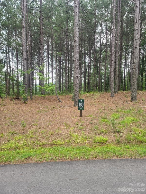 Property image 3 at 122 Table Rock Trace, Valdese, NC 28690