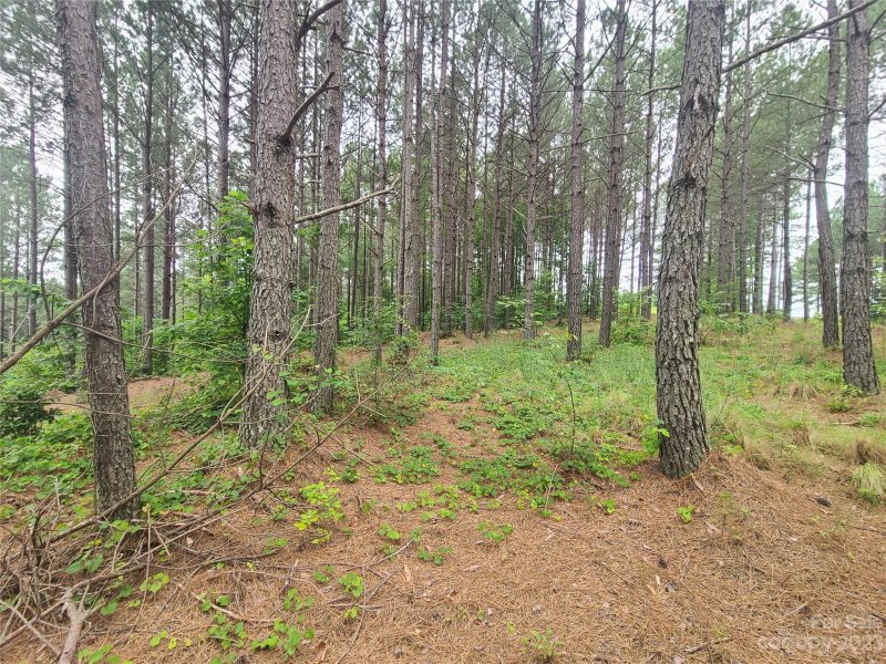 Property image 4 at 122 Table Rock Trace, Valdese, NC 28690