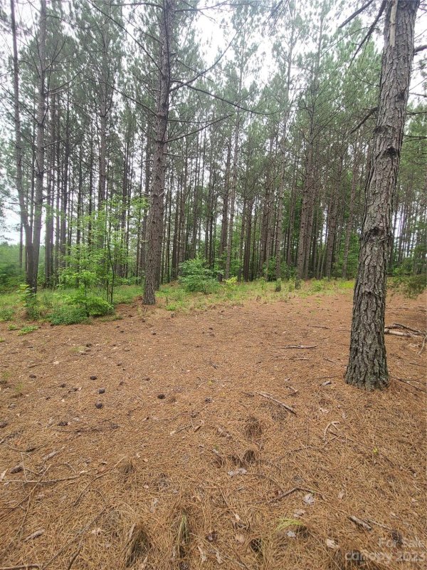 Property image 5 at 122 Table Rock Trace, Valdese, NC 28690