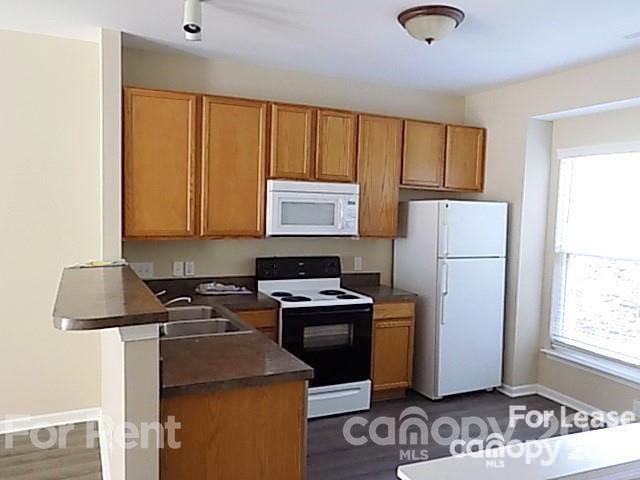 Property image 4 at 6462 Royal Celadon Way, Charlotte, NC 28269