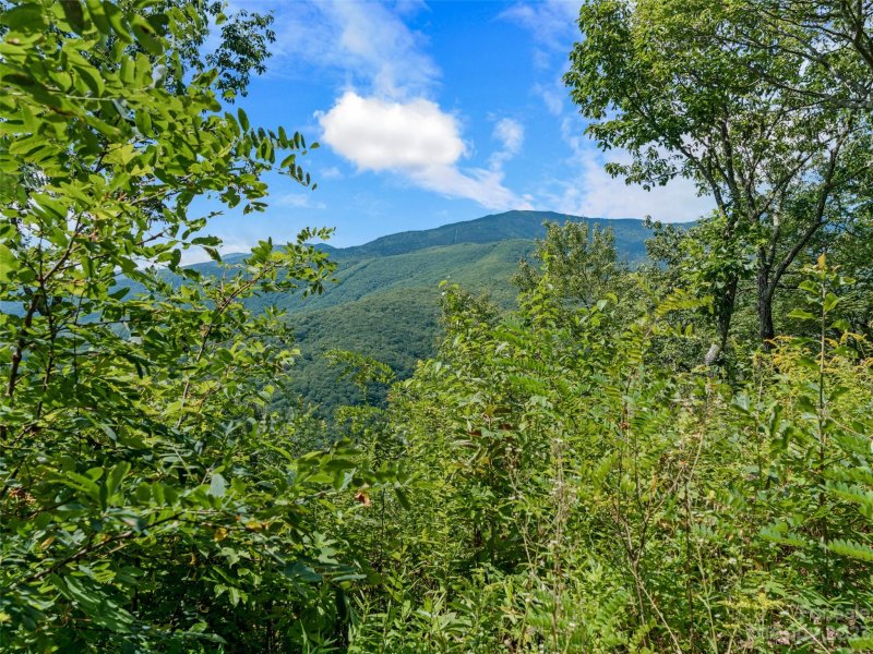 Property image 3 at 000 Big Ridge Road, Burnsville, NC 28714