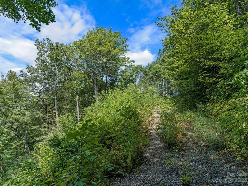 Property image 4 at 000 Big Ridge Road, Burnsville, NC 28714