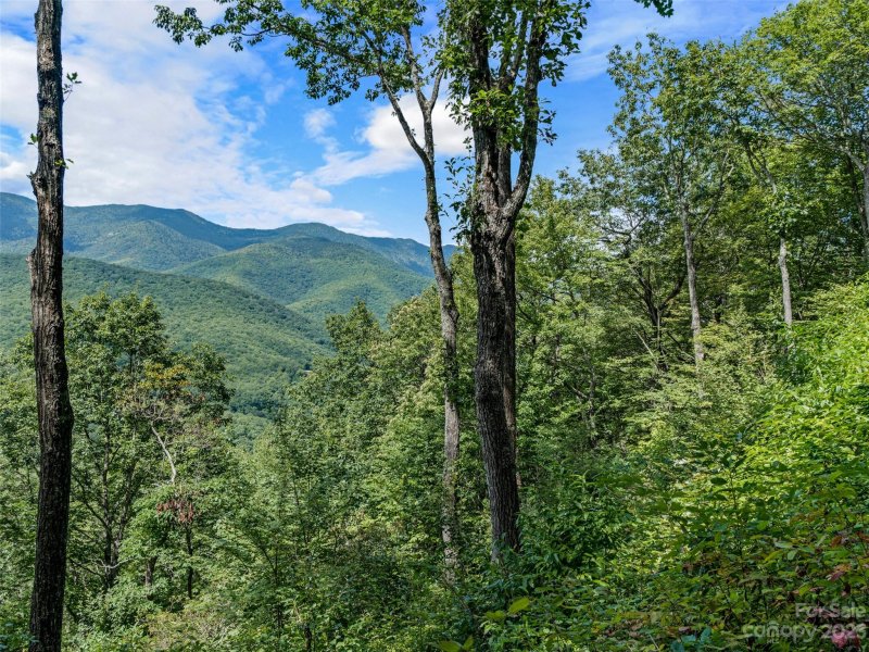 Property image 5 at 000 Big Ridge Road, Burnsville, NC 28714