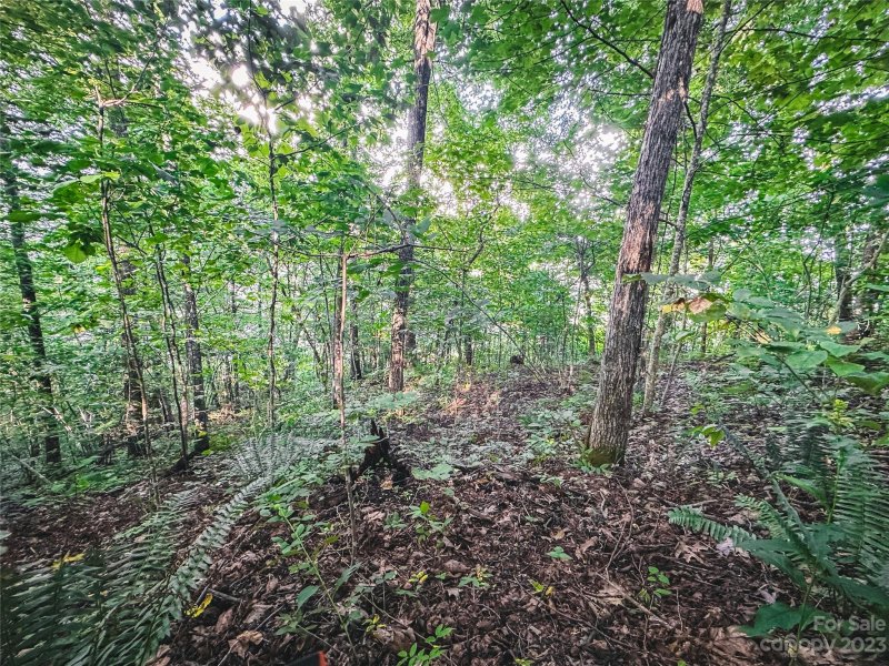 Property image 2 at 0 Crossvine Drive, Tuckasegee, NC 28783