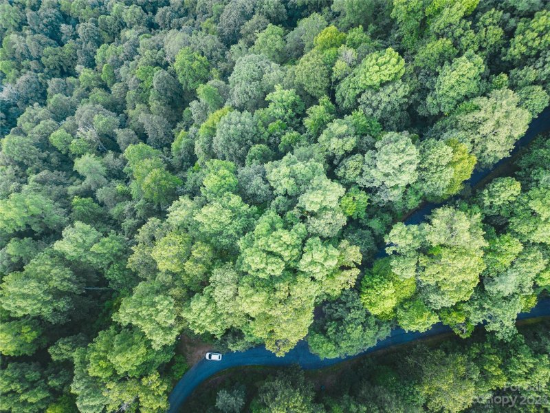 Property image 4 at 0 Crossvine Drive, Tuckasegee, NC 28783