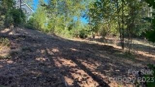 Property image 4 at 2073 Island View Lane, Connelly Springs, NC 28612