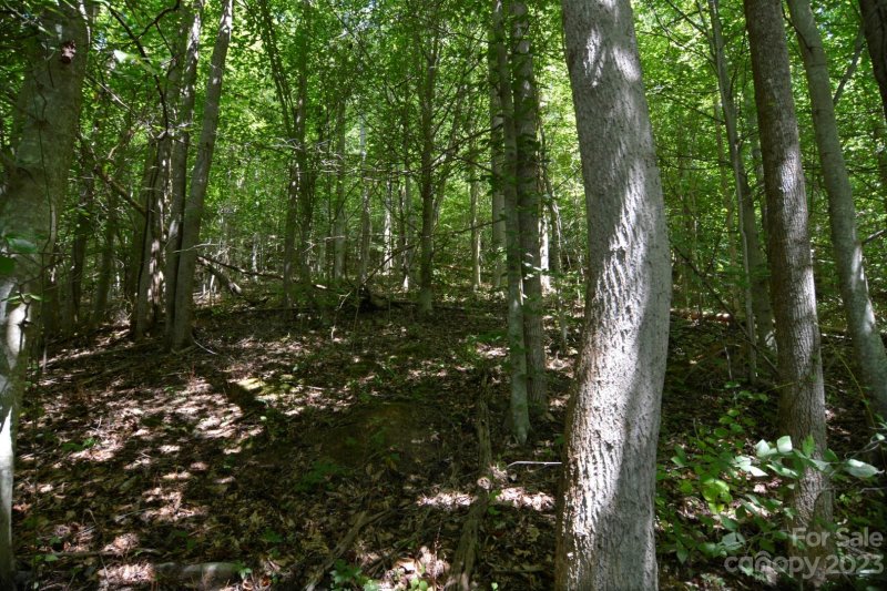 Property image 5 at 00 Applewood Lane, Weaverville, NC 28787