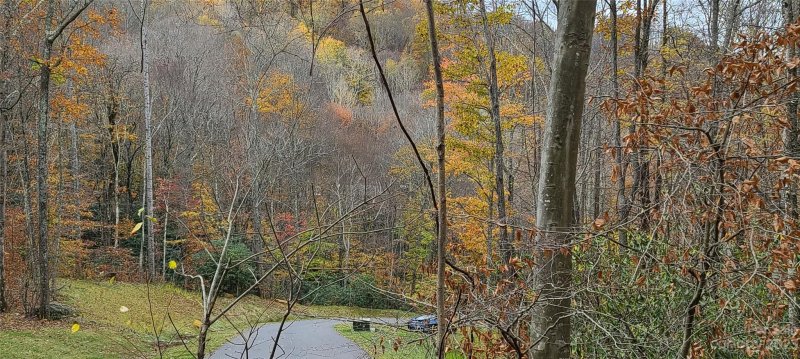 Property image 3 at 1230 Arborcrest Way, Swannanoa, NC 28778