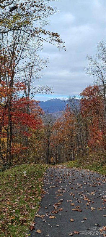 Property image 4 at 1230 Arborcrest Way, Swannanoa, NC 28778