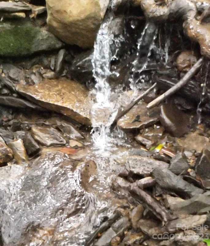 Property image 5 at 1230 Arborcrest Way, Swannanoa, NC 28778