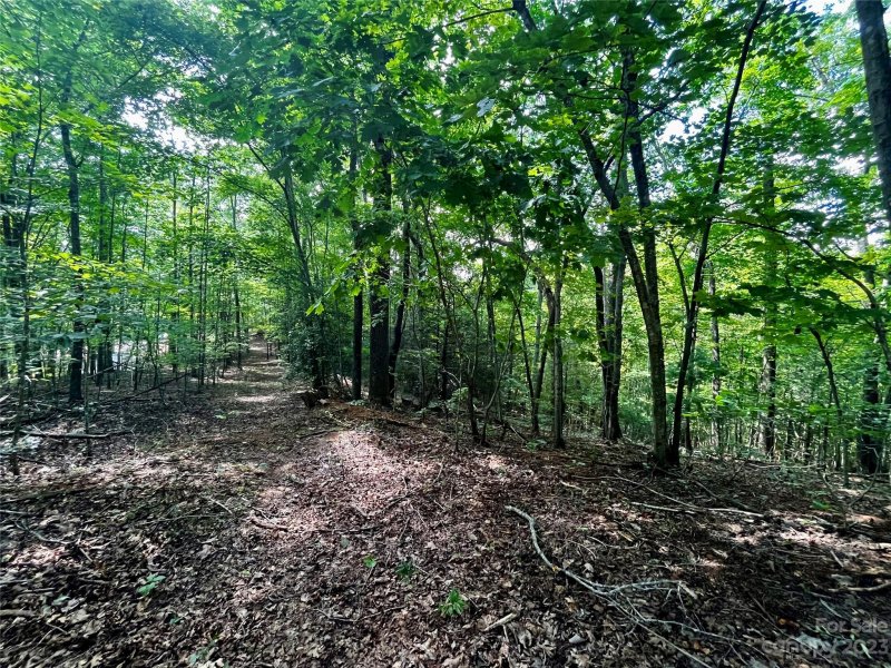 Property image 3 at Lot 41 Haven Ridge Lane, Marion, NC 28752