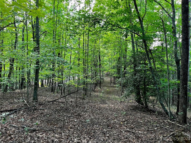 Property image 5 at Lot 41 Haven Ridge Lane, Marion, NC 28752