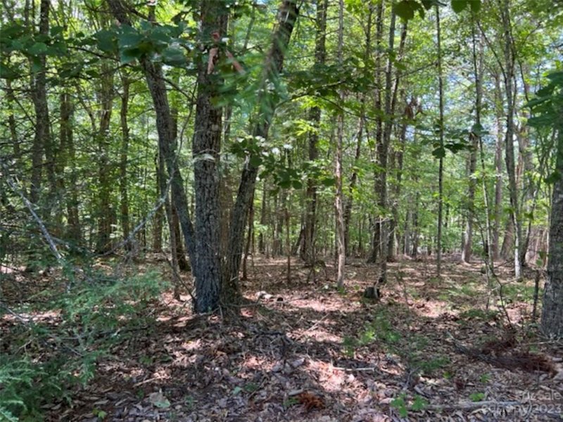 Property image 2 at Lot 20 Settlers Trail None, Mars Hill, NC 28754