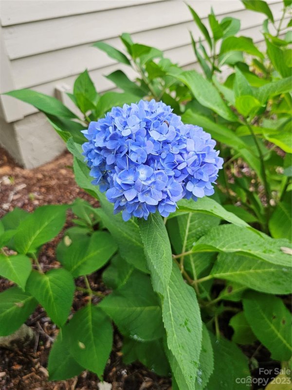 Property image 3 at 3201 Saint Augustine Place, Asheville, NC 28805