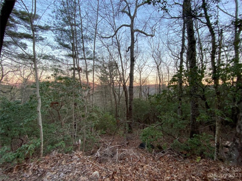 Property image 2 at 5c Dogwood Circle, Penrose, NC 28766