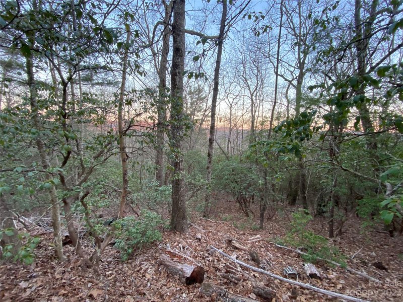 Property image 3 at 5c Dogwood Circle, Penrose, NC 28766