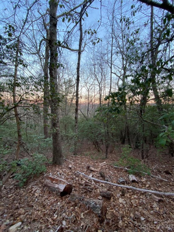 Property image 4 at 5c Dogwood Circle, Penrose, NC 28766