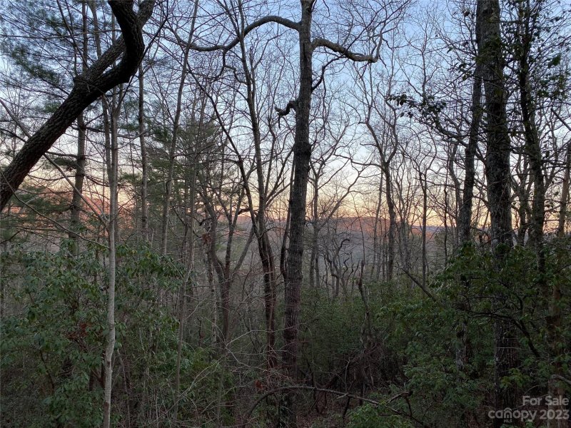 Property image 5 at 5c Dogwood Circle, Penrose, NC 28766